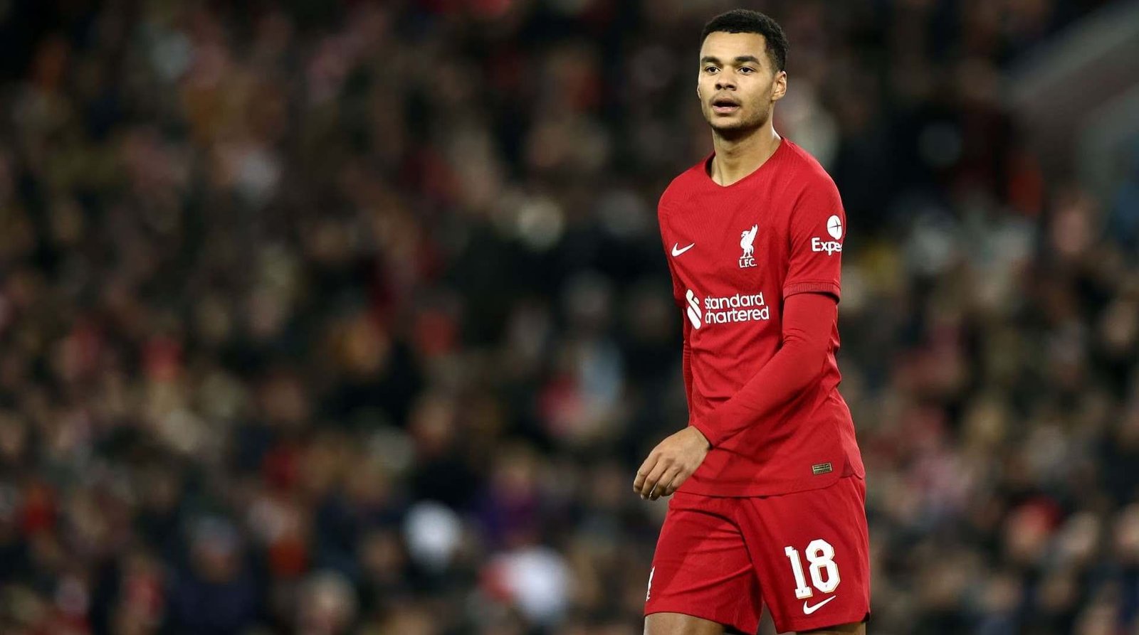 بايرن ميونخ يُخطط لتوجيه ضربة ثانية لليفربول وخطف “جاكبو” على طريقة “دياز”